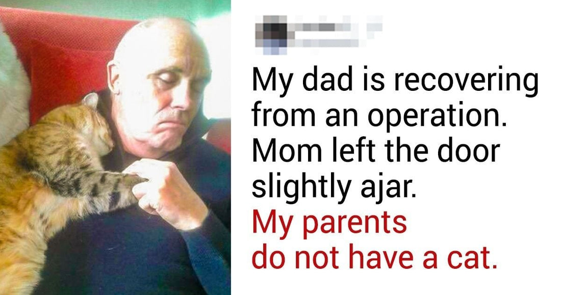 18 Wholesome Stories That Prove Every Family Needs A Pet