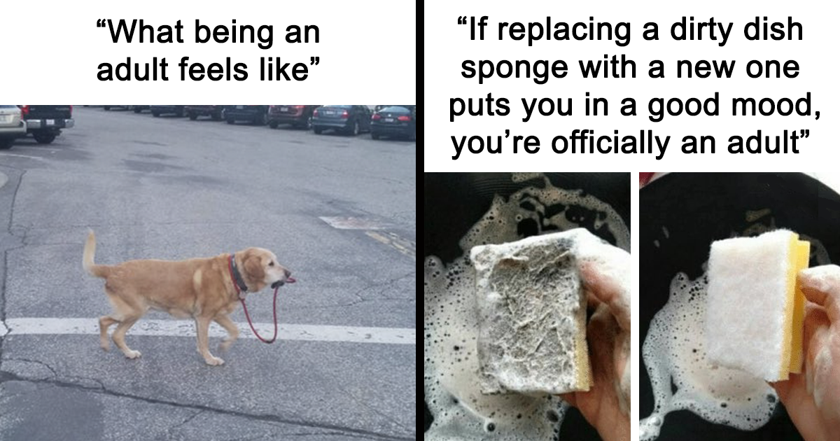 50 Hilarious Adulting Memes That Hit Little Too Close To Home - grandgoldman.com