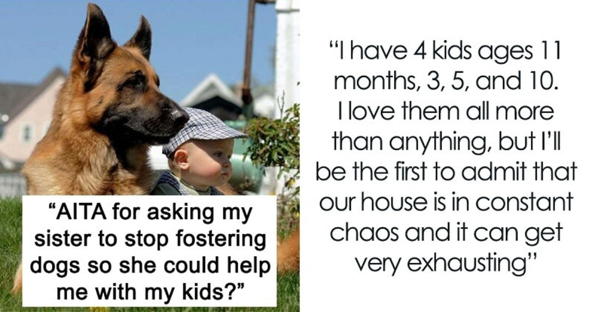 Woman Asks Childfree Sister To Stop Fostering Dogs To Babysit Her Kids, Gets Schooled