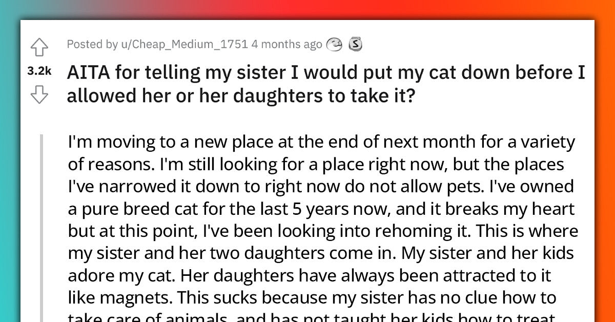 Cat Owner Tells Her Sister She Would Rather Put The Animal Down Than Giving It To Her, Drama Happens - grandgoldman.com