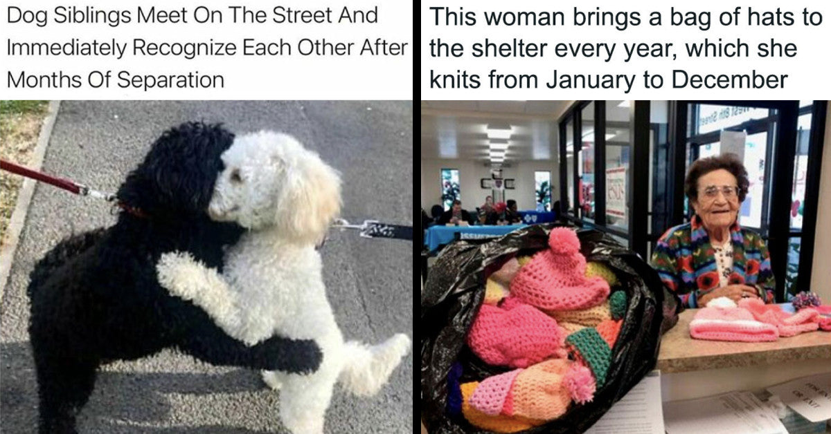 50 Unexpectedly Wholesome Situations That’ll Bring Back Your Faith In Humanity