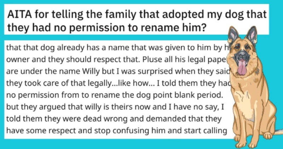 Man Re-Homes Dog And Throws A Tantrum When The New Family Change His Name - grandgoldman.com