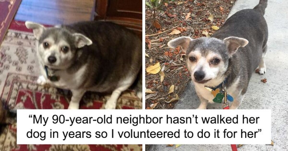 30 Adorable Good Boys And Girls That Lost Weight And Can Be An Inspiration For You