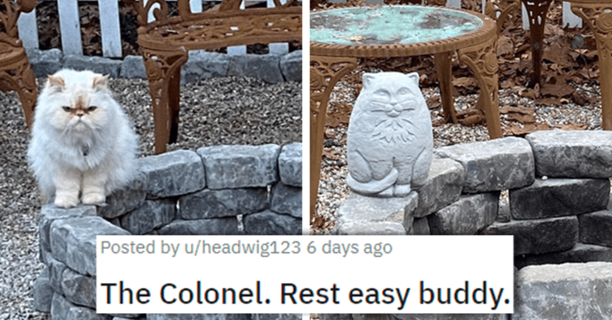 18 Cat Posts That Will Warm Your Heart - grandgoldman.com