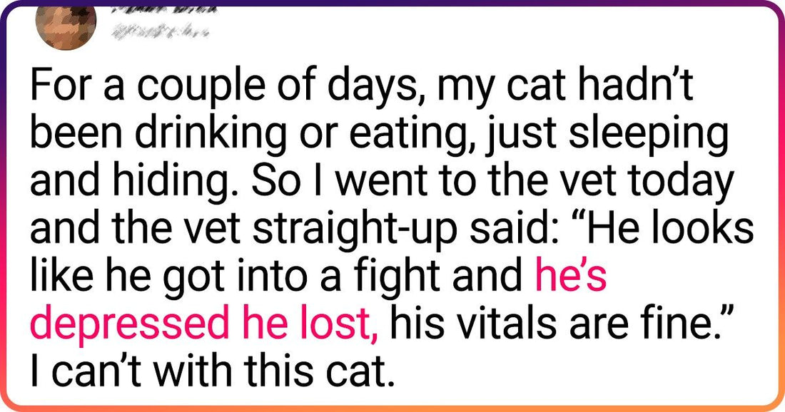 28 Cat Tweets That Depicts Joys And Struggles Of Owning A Cat