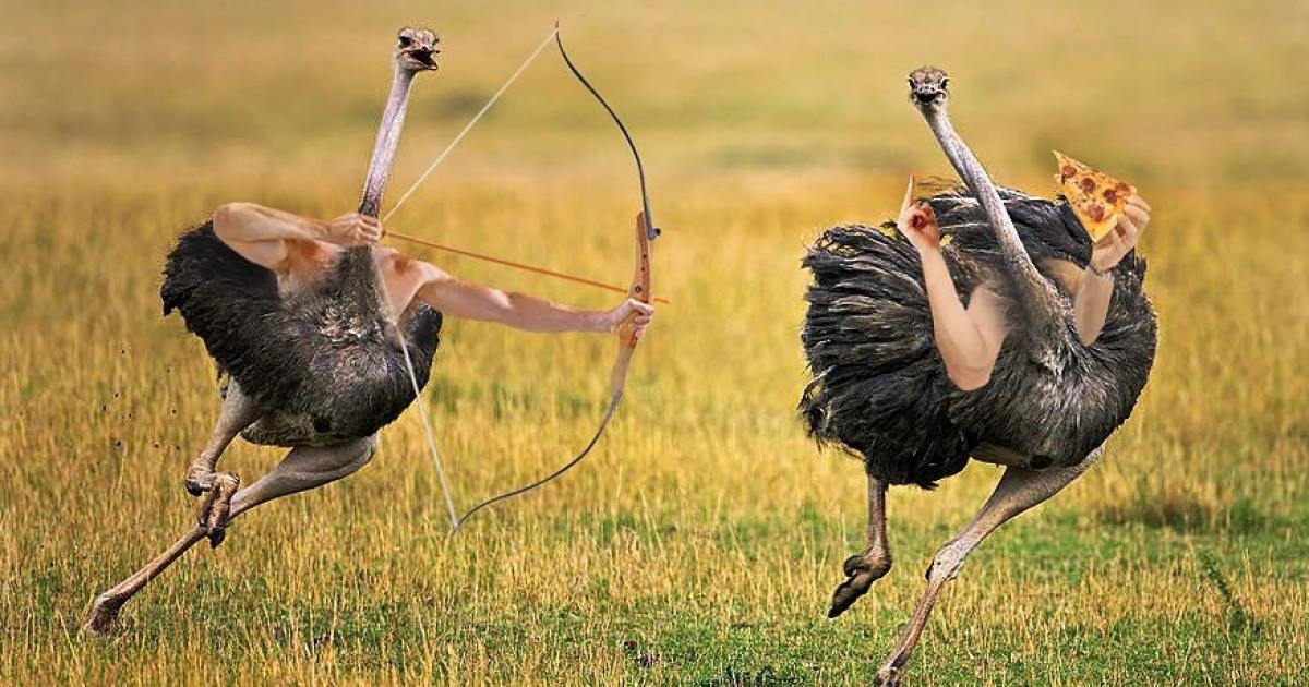 Hilarious Pictures Of Birds With Arms That’ll Leave You In Splits - grandgoldman.com