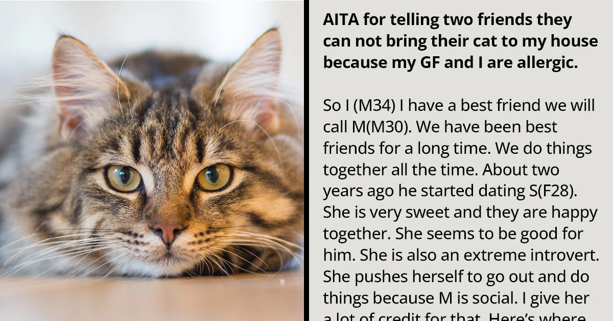 Person Allergic To Cats Tells His Friend Not To Bring His Pet To His Party, Asks If They Are Wrong - grandgoldman.com