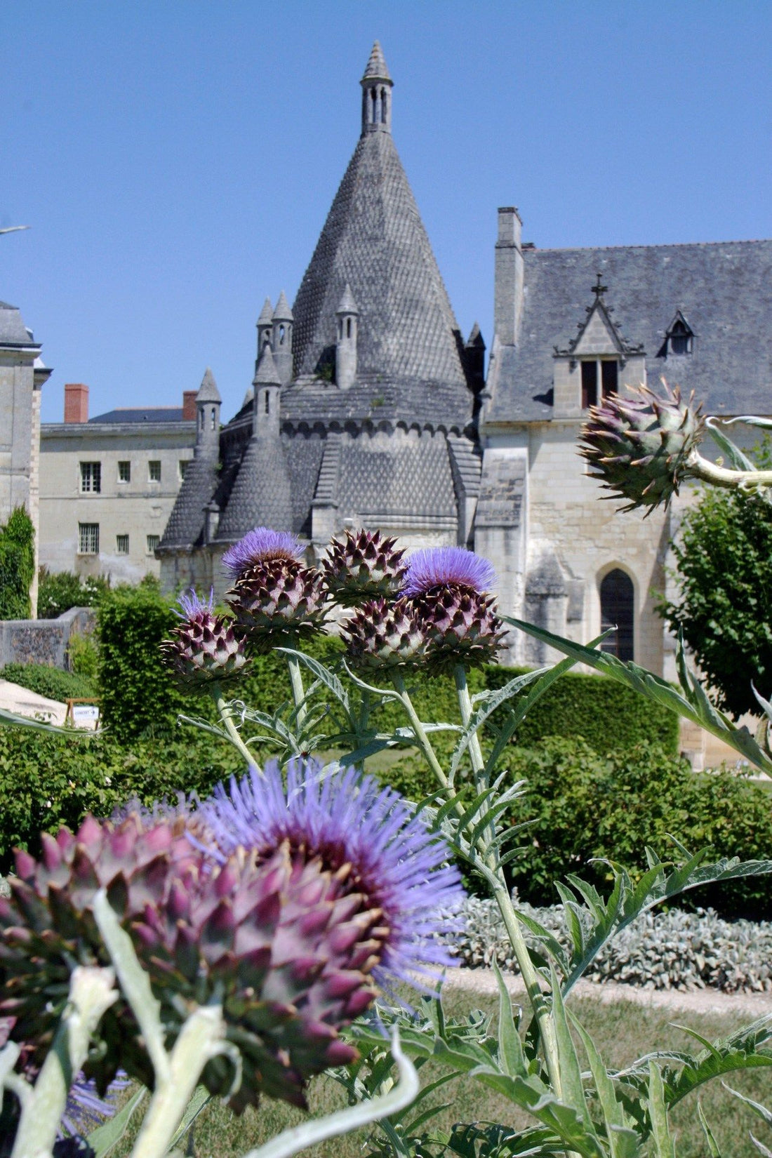 Fontevrault in France – the largest abbey in all of Europe