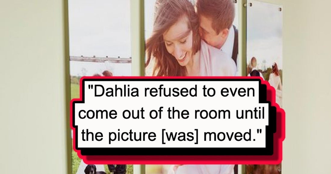 Conservative Woman Doesn’t Get Out Of The Room When She Sees A Wedding Photo Of Her Husband’s Friend
