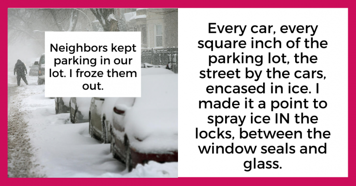 Neighbors Kept Parking At Our Driveway, So I Froze Them Out - grandgoldman.com