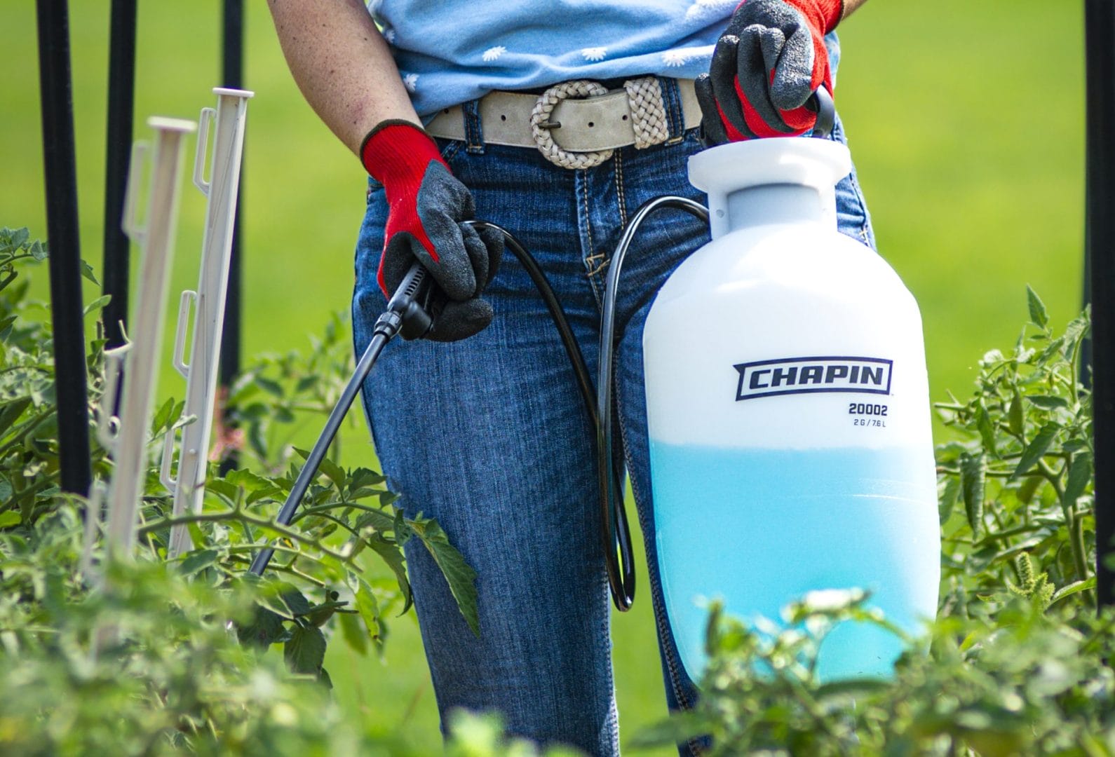 Chapin 20004 1-Gallon Garden Sprayer Review - grandgoldman.com