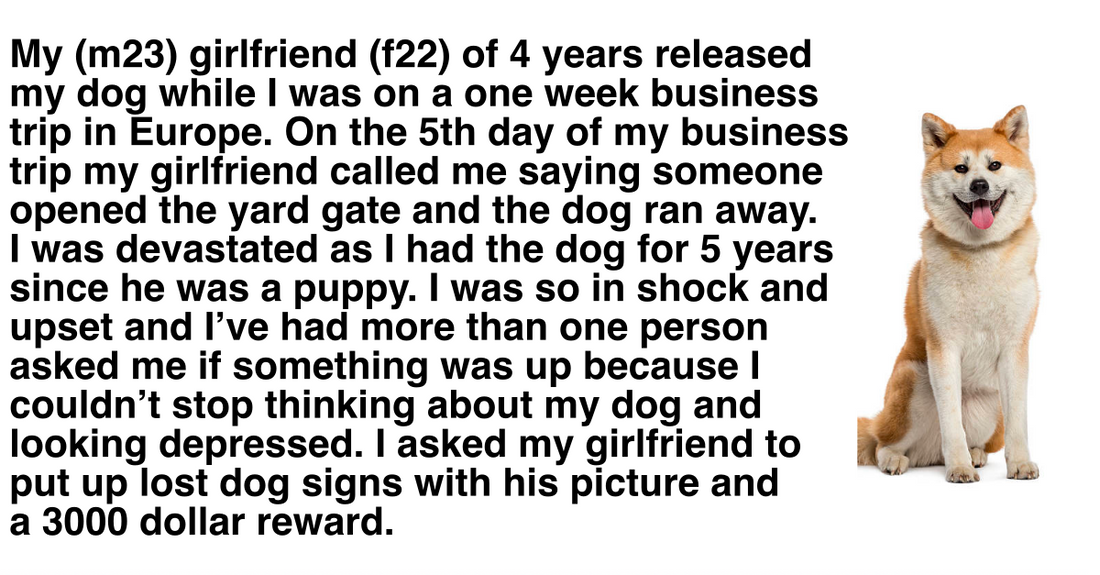 Girlfriend Intentionally Releases Her Boyfriend’s Dog Into Wild While He Was Out On A Business Trip