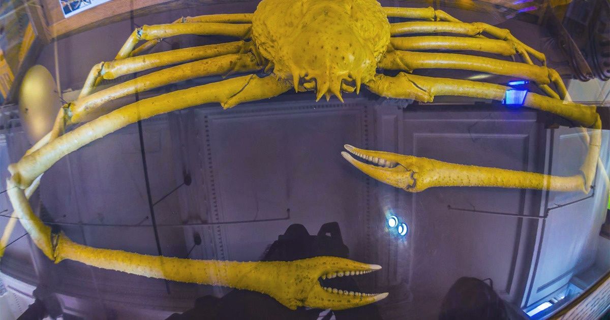 19 Spine-Chilling Photos That Will Scare The Hell Out Of You