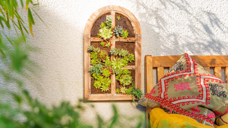 DIY Vertical Garden: Illustrated Step-by-Step Guide