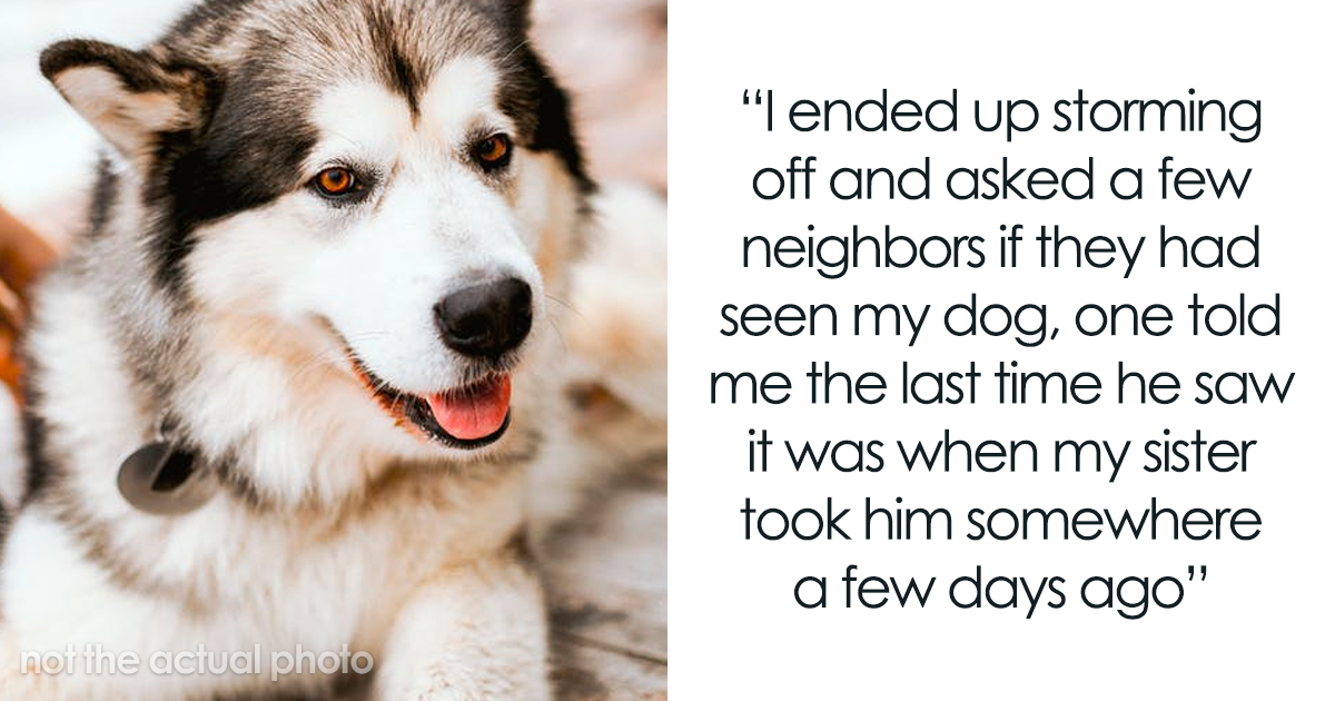 Woman Kicks Out Pregnant Sister From Her House Because She Threw Out Her Husky, Family Drama Ensues