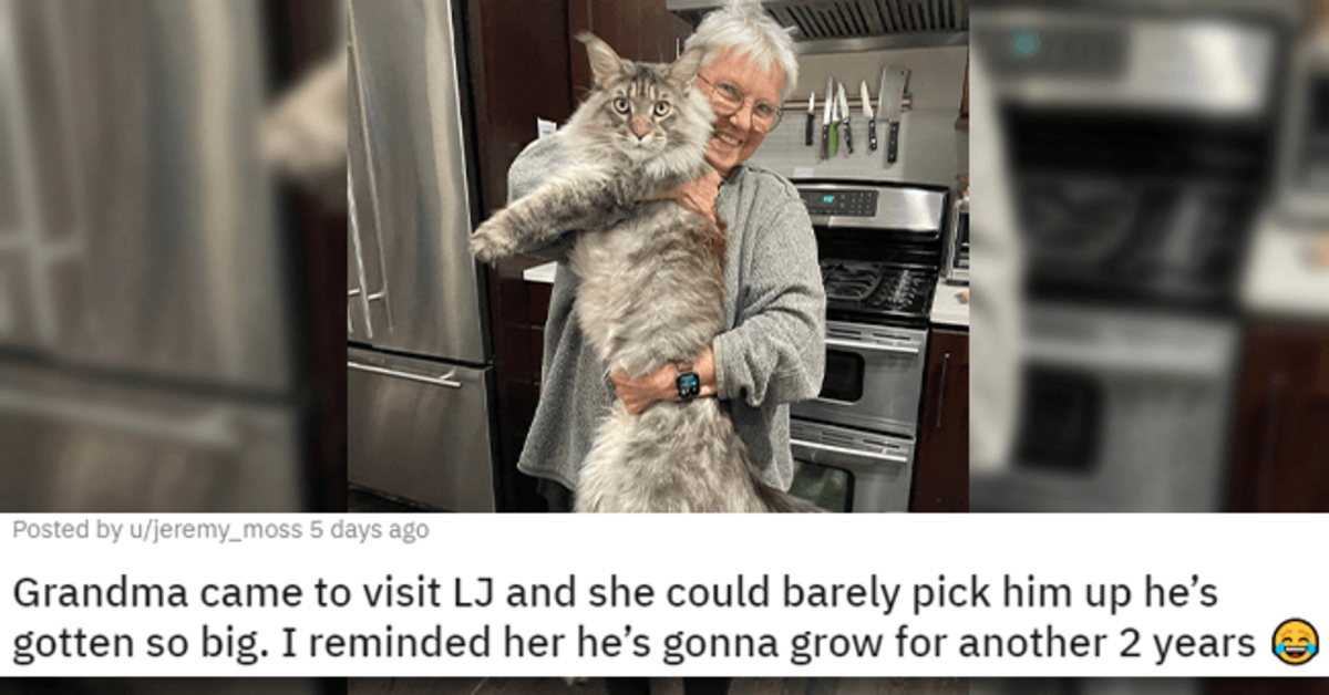18 Animal Photos To Give You The Daily Dose Wholesomeness And Positivity