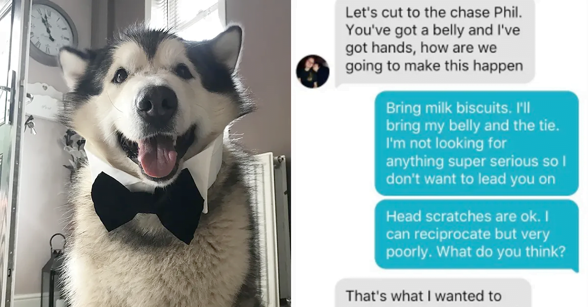 Guy Makes A Tinder For His Dog And People Just Can’t Swipe Left