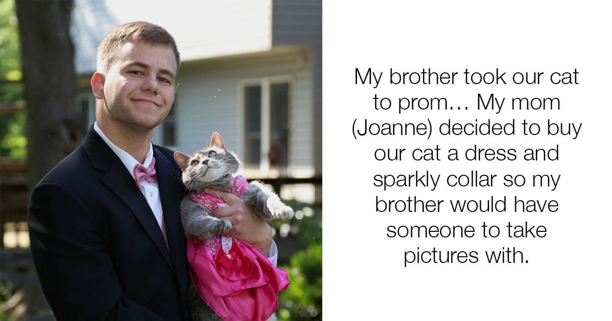 Guy Took His Cat To Prom As His Date And The Photos Are Stunning - grandgoldman.com