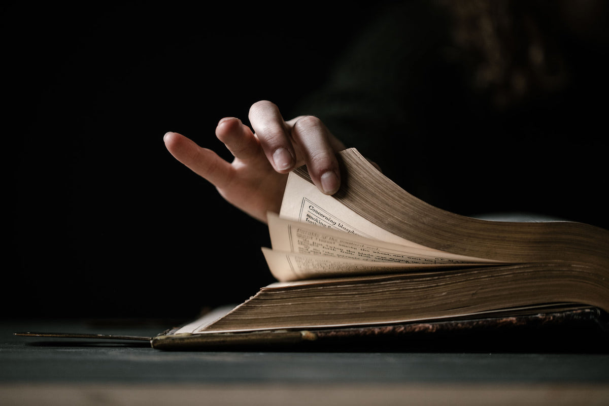 Have Run or Ran: The Grammar Mistake Most People Get Wrong — Explained