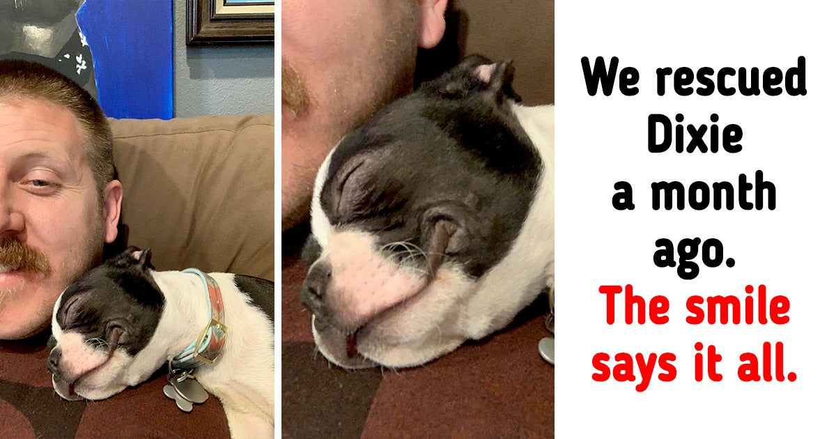 15 Times Pets Melted Our Hearts With Their Adorableness