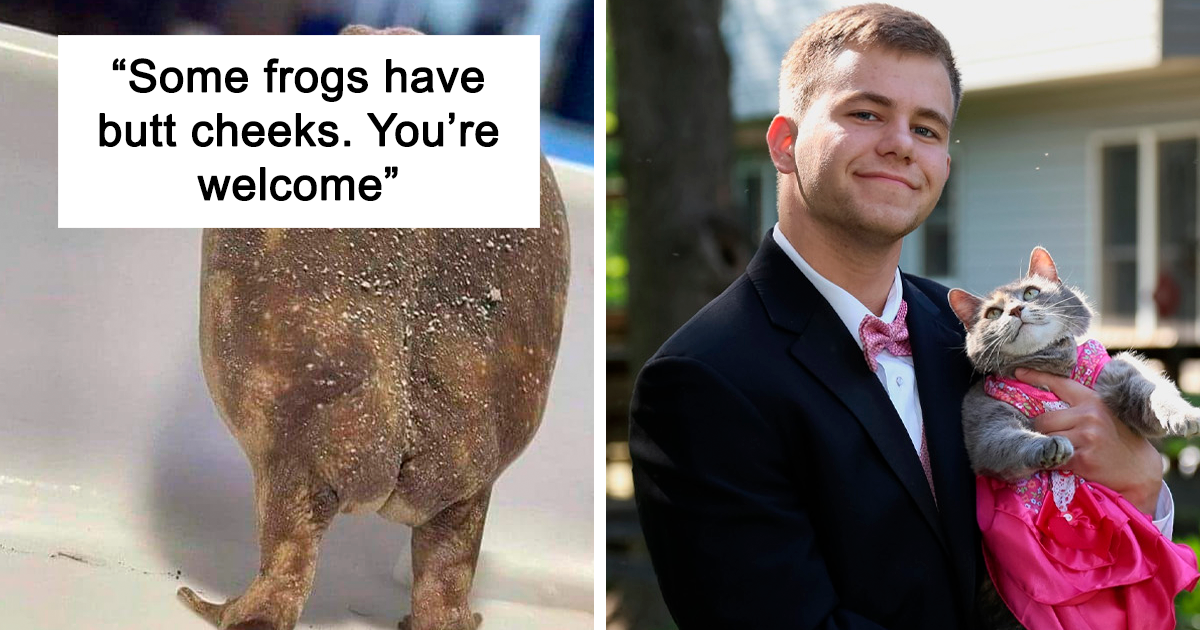 50 Wholesome Pics With Purest Backstories That Will Fill Your Inner Void