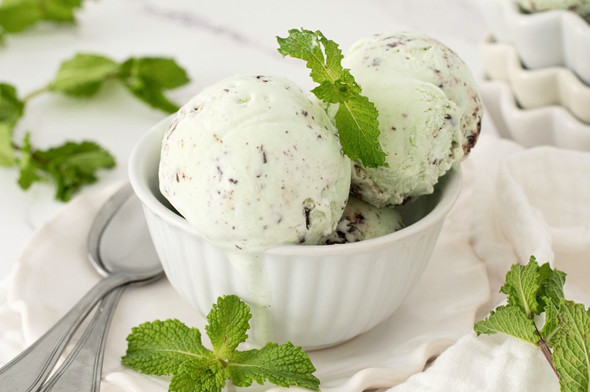 Chocolate Mint Ice Cream Recipe: Creamy Homemade Dessert