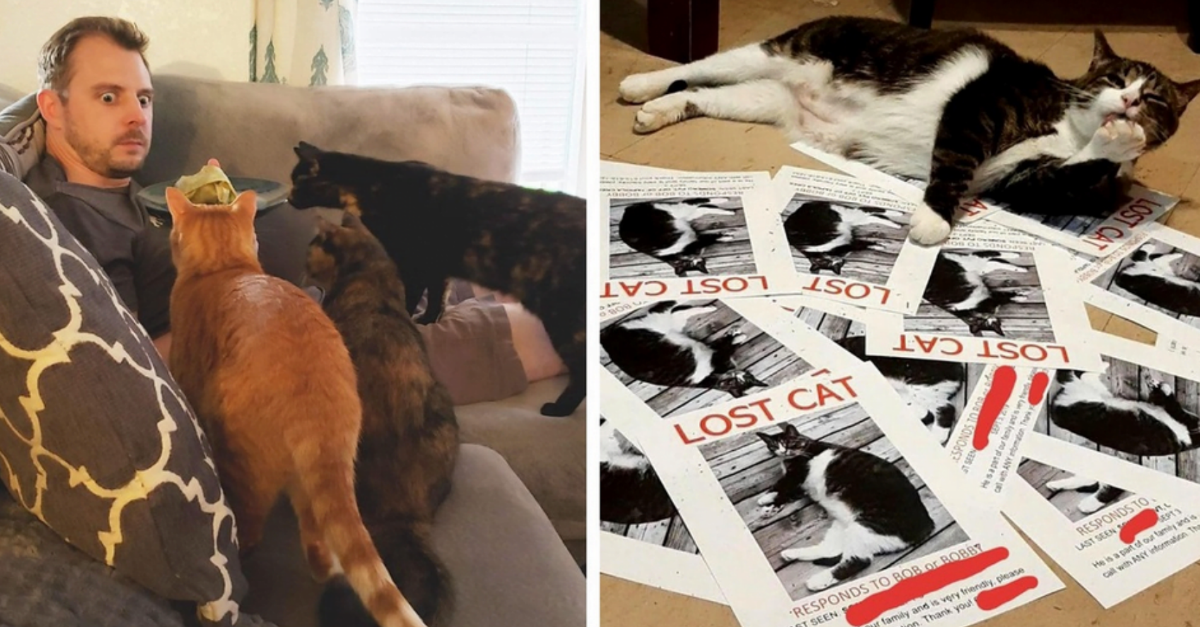 25 Hilarious Situations Only Cat Owners Could Get Into