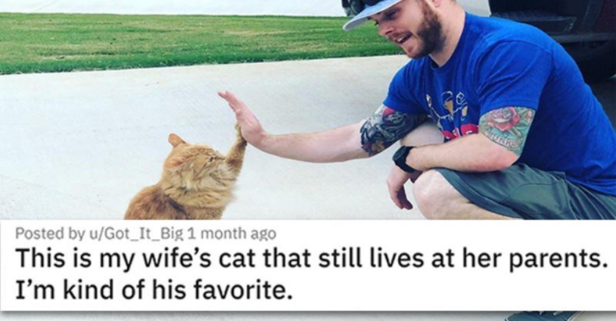 18 Pics Of Human-Animal Bonding That Prove Animals Are Full Of Unconditional Love - grandgoldman.com