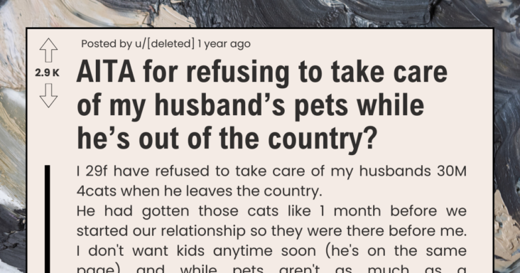 Wife Refuses To Take Care Of Husband’s 4 Cats While He’s Away For 3 Years For Work, Asks If She’s Being Unfair