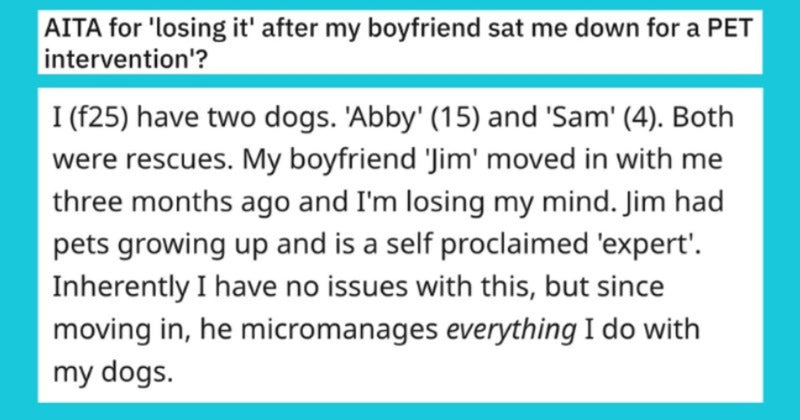 Controlling BF Moves In And Starts Micromanaging GF’s Dog Parenting, She Finally Snaps