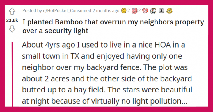 Redditor Takes Revenge On Neighbor By Planting Bamboo And Blocks Their View