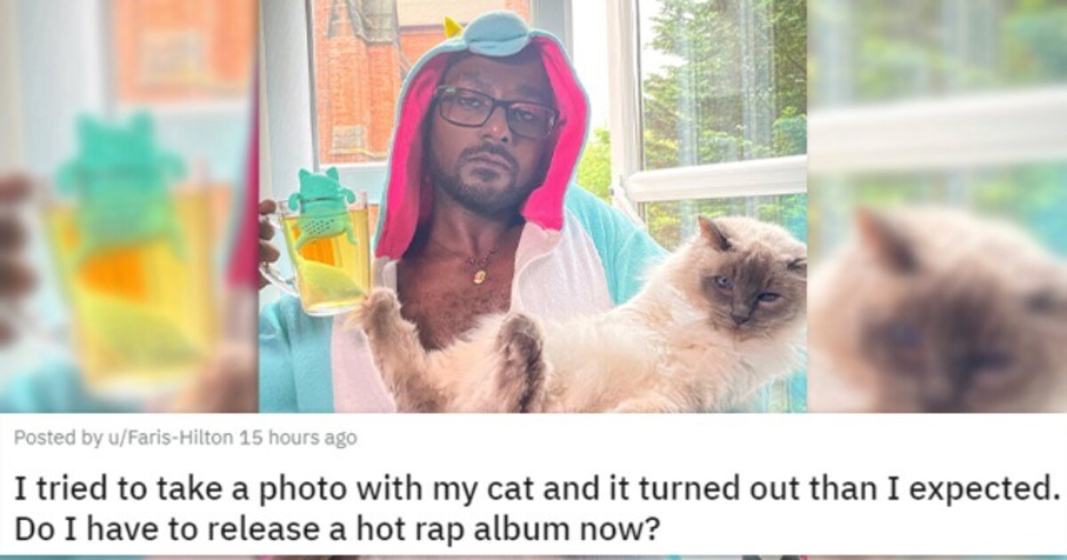 22 Animals Who Are Too Purrfect To Be Real