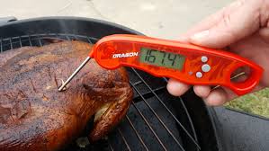 Fast Instant Read Meat Thermometer Review - grandgoldman.com