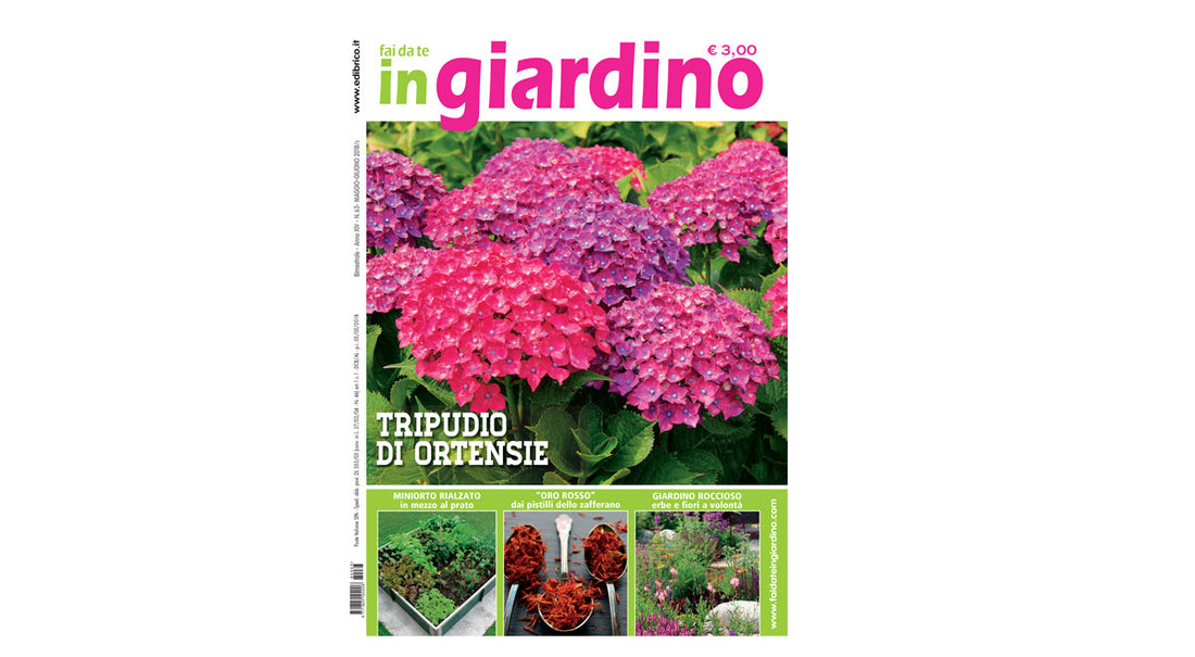 Compost and Mulching for Circular Gardening