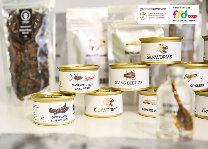 Edible Insects Get EU Approval: What You Need to Know