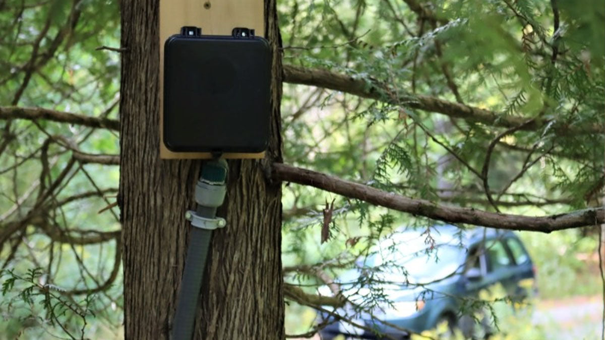 Best Driveway Alarms - Grand Goldman