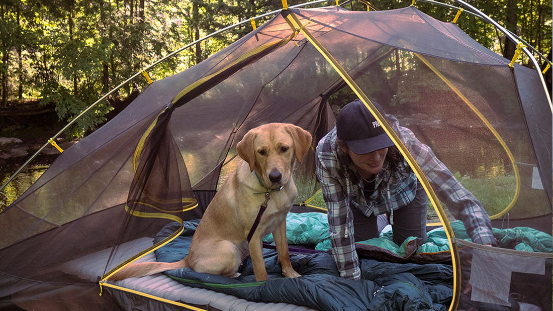 Best Tent for Kayak Camping - Grand Goldman