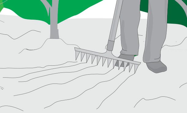 How to fertilize the garden in winter - grandgoldman.com