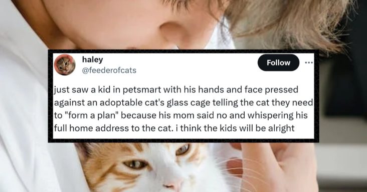 Kid Wants To Adopt Cat And Whispers His Address To The Adorable Kitty - grandgoldman.com