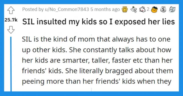 Mother Exposes Sister In Law For Lying Too Much After She Insulted Her Kids