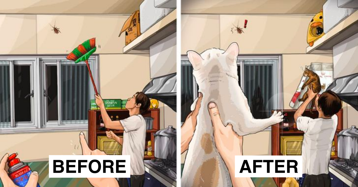 Taiwanese Artist Illustrate A Life Showing Changes Before And After A Human Adopts Pets - grandgoldman.com
