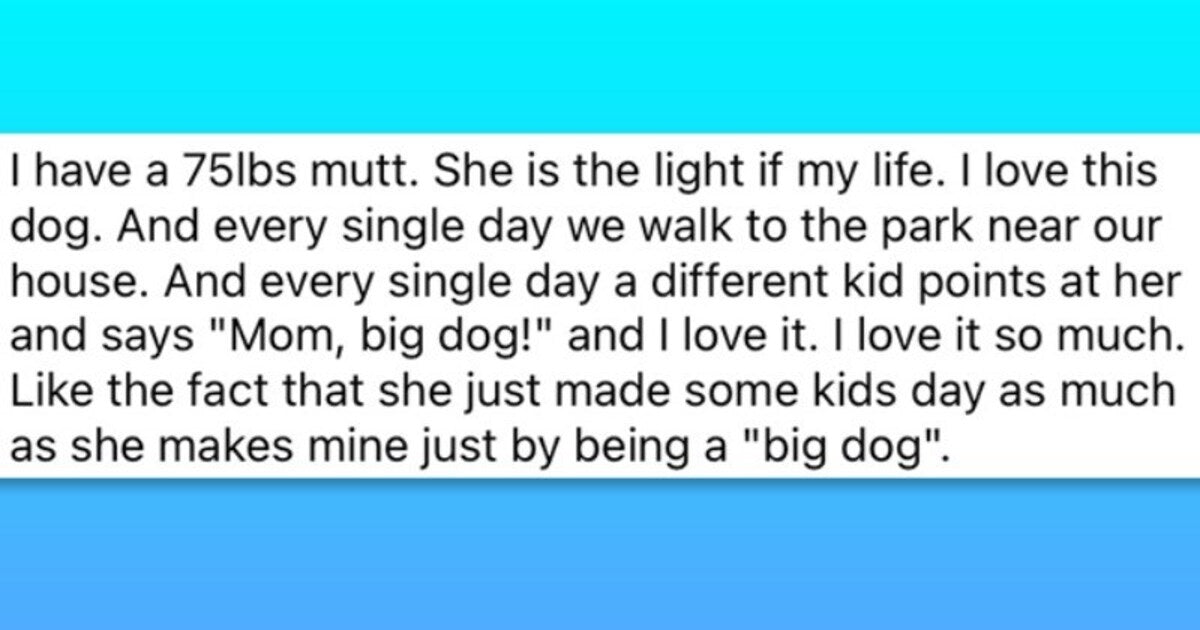 This Appreciation Post For Big Dogs Will Make Your Day Bigger And Better - grandgoldman.com