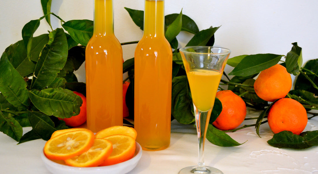DIY Mandarin Liqueur Recipe | How to Make Homemade Mandarin Liquor