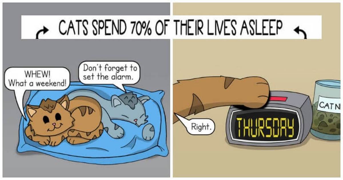 16 Adorable Animal Parents Comics That Will Brighten Your Day