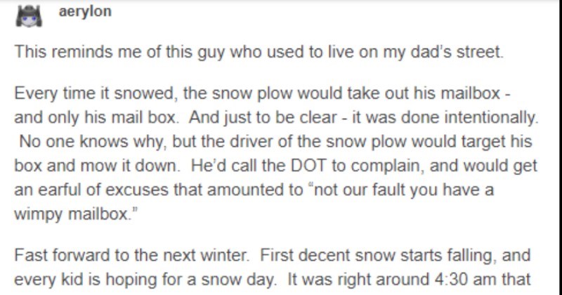 Dad Takes Sweet Revenge On Snow Plow Who Kept Breaking His Mailbox - grandgoldman.com