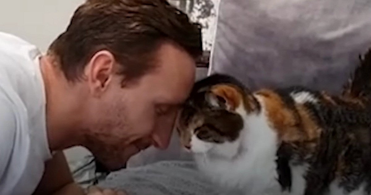 Guy And Cat Prove They Are Soulmates After 23 Years Together (Wholesome Story) - grandgoldman.com