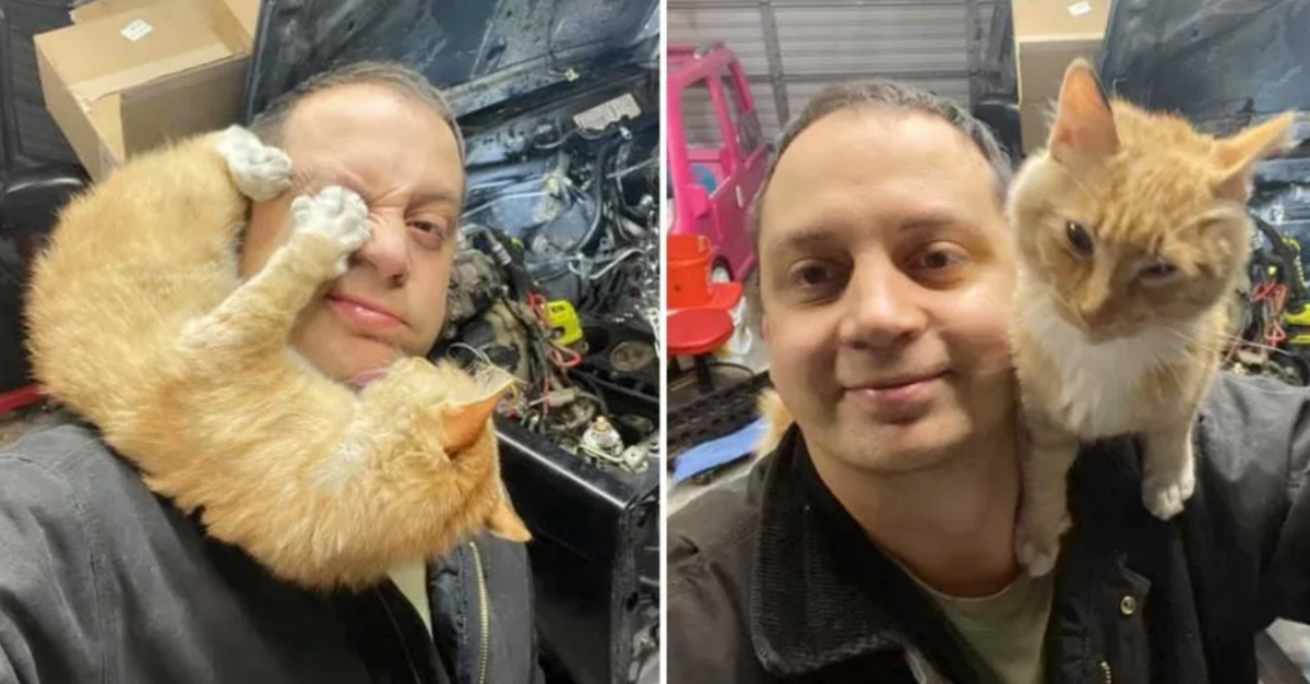 Man Who Doesn’t Own A Cat, Finds A Cat In His Garage, Gets Adopted By The Cat - grandgoldman.com