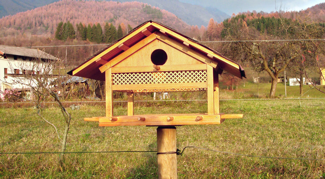 DIY Bird Feeder | How to Build It Step by Step