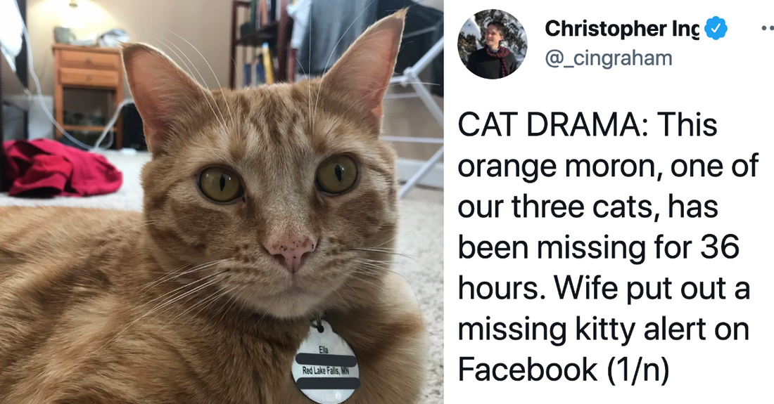 Man Hilariously Documents Story Of His Missing “Moron” Cat Who Invaded His Neighbour