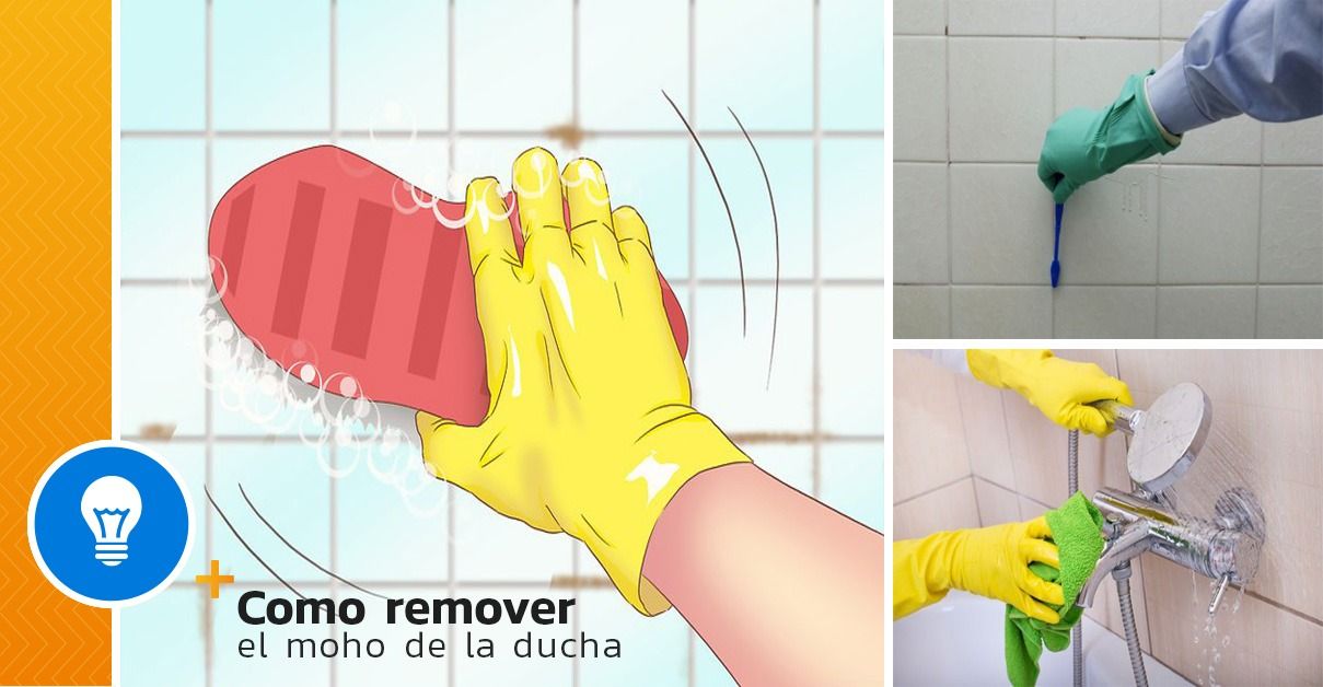 How to get rid of mold in the shower - grandgoldman.com